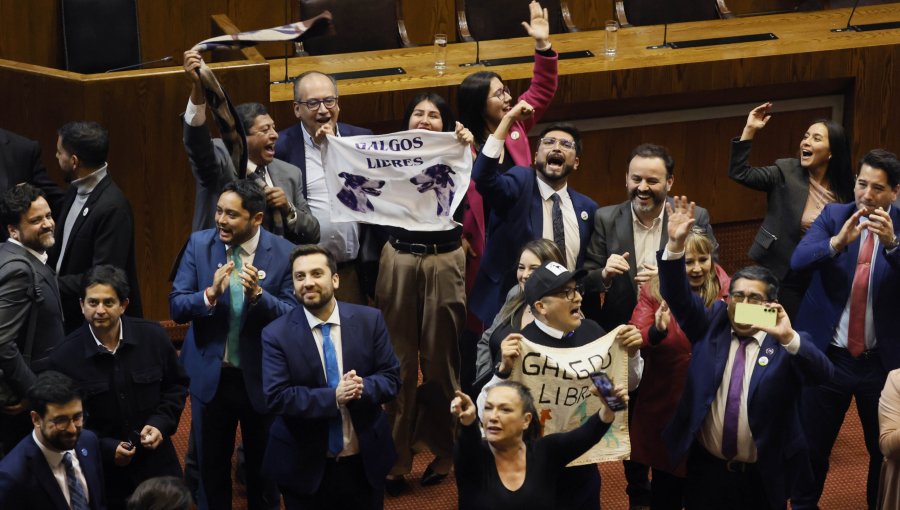 Cámara de Diputados aprueba en general el proyecto que prohíbe y sanciona las carreras de galgos