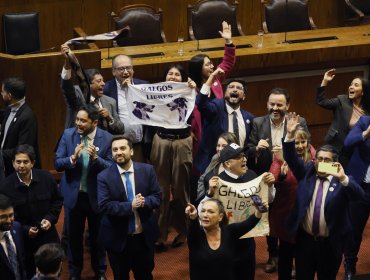Cámara de Diputados aprueba en general el proyecto que prohíbe y sanciona las carreras de galgos