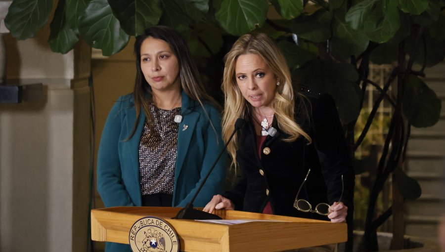 Senadora Vanessa Kaiser rechaza reforma de seguridad del Gobierno y advierte que "no va a cambiar absolutamente nada"