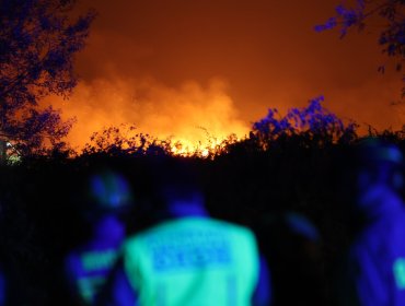 Tras cuatro meses: Se constituye la comisión mixta para destrabar la Ley de Incendios