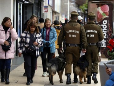 «Ronda Impacto» deja 27 detenidos en Viña del Mar y Quintero: incautan drogas, medicamentos y armas blancas