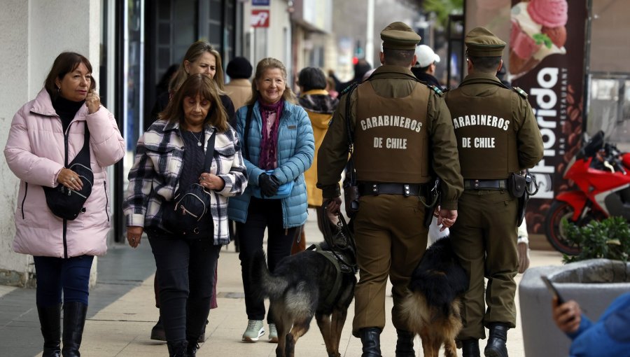 «Ronda Impacto» deja 27 detenidos en Viña del Mar y Quintero: incautan drogas, medicamentos y armas blancas