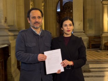 Senadores Cariola y Núñez acuden al TC para defender norma de reposición de servicios básicos de la megarreforma