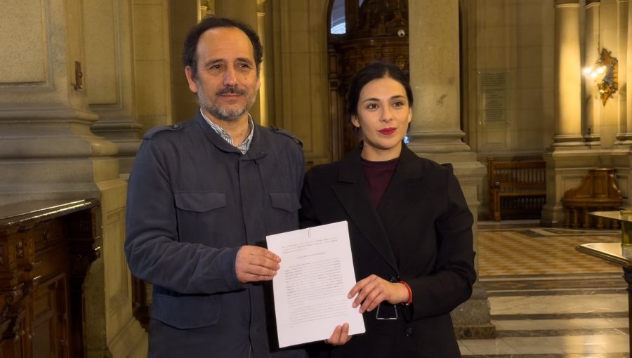 Senadores Cariola y Núñez acuden al TC para defender norma de reposición de servicios básicos de la megarreforma