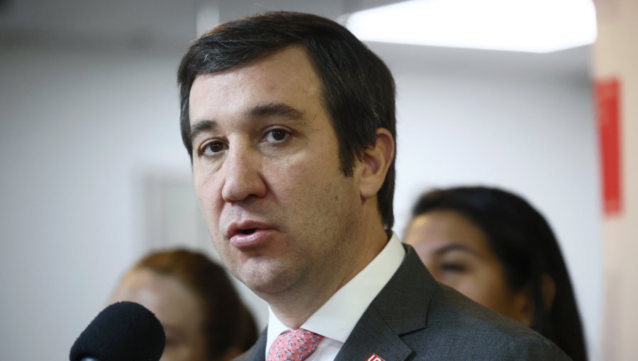 Presidente de la UDI por reforma constitucional de seguridad: "Mientras más acotada sea, mejor"