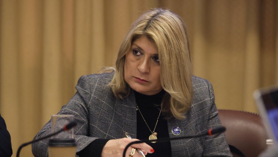 Diputada Parisi pide a Cancillería exigir aclaración a Argentina por dichos sobre el Estrecho de Magallanes