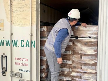 Casi 94 toneladas de carne fueron rechazadas por la Seremi de Salud durante controles previos a Fiestas Patrias en Los Andes