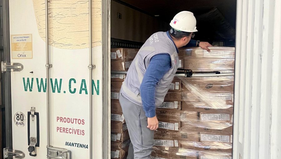 Casi 94 toneladas de carne fueron rechazadas por la Seremi de Salud durante controles previos a Fiestas Patrias en Los Andes