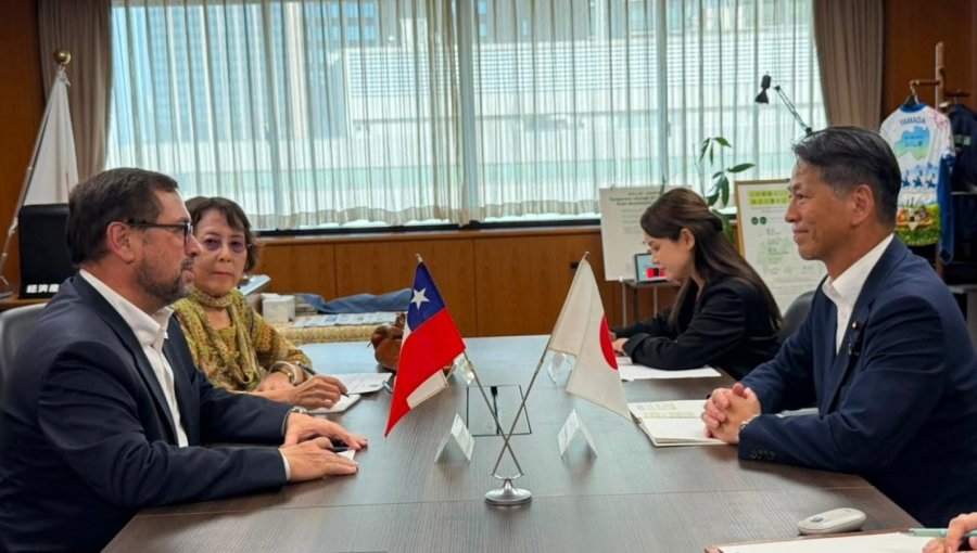 Canciller Pérez Mackenna aborda con Japón nuevas oportunidades comerciales e inversiones en Chile