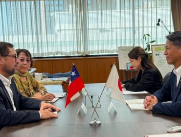 Canciller Pérez Mackenna aborda con Japón nuevas oportunidades comerciales e inversiones en Chile