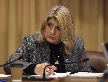 Diputada Parisi cuestiona exclusión del PDG en Comisión Nueva Arquitectura del Estado: "Todas las miradas deben estar sobre la mesa"