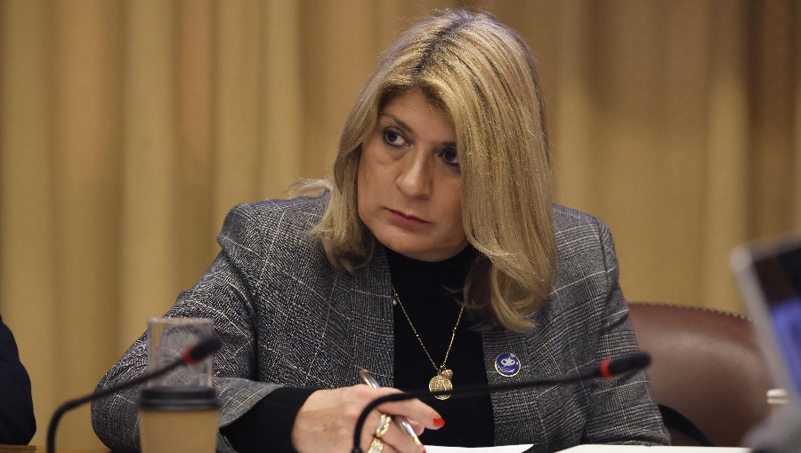Diputada Parisi cuestiona exclusión del PDG en Comisión Nueva Arquitectura del Estado: "Todas las miradas deben estar sobre la mesa"