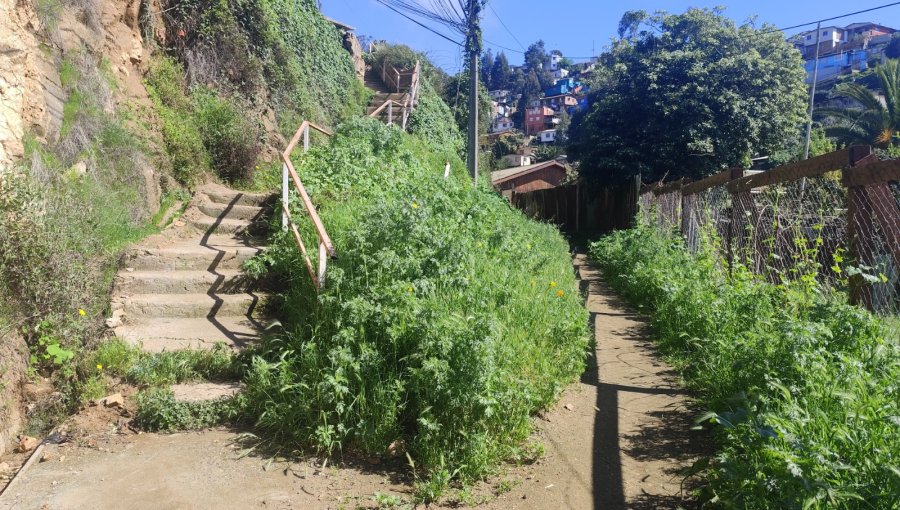 Vecinos del cerro Cordillera tendrán una vía peatonal más segura tras histórica demanda