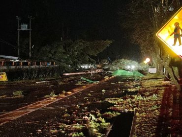 Tornado causa severos daños en la región del Ñuble: Cholguán sería la localidad más afectada