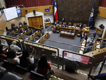 Incidentes en tribunas del Senado obligan a suspender la votación del proyecto de Sala Cuna Universal