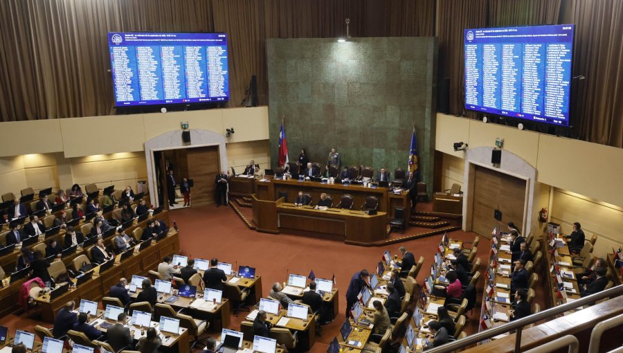 Cámara aprueba y despacha a ley bono de $30 mil para la niñez que incorpora a recién nacidos y niños en familias de acogida