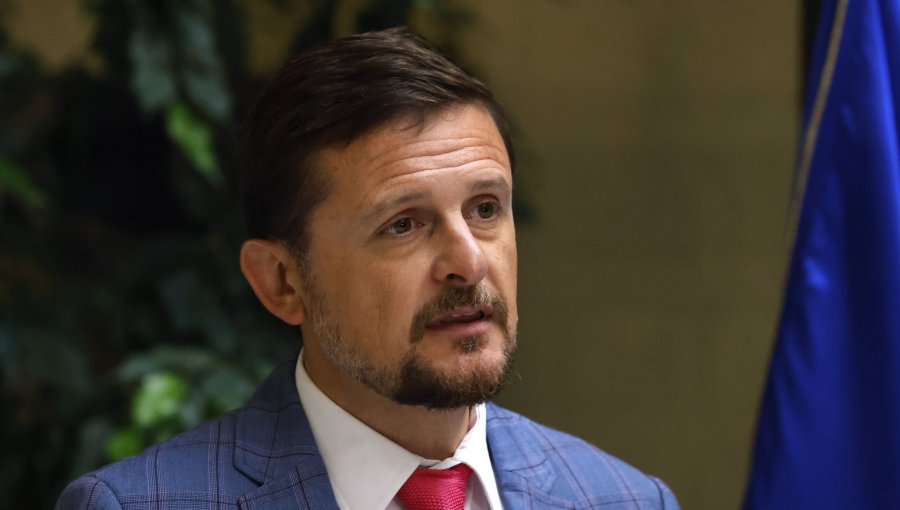 Diputado Schubert responde a dichos de senador Vial sobre reforma de seguridad y asegura que "si viniera de Jara yo la aprobaría"