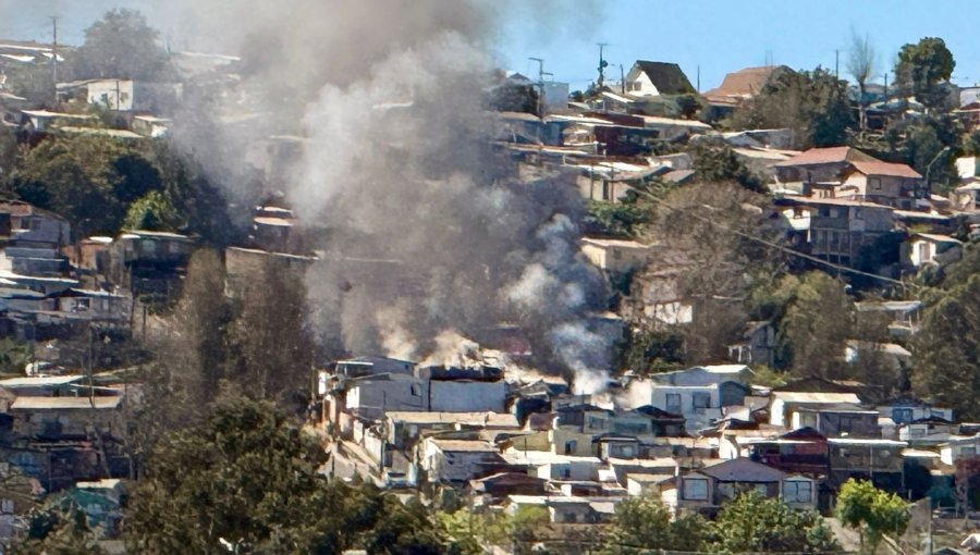 Incendio en Viña del Mar: equipos de emergencia combatieron fuego que consumió dos casas en el sector de Miraflores Alto