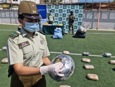 Desarticulan red criminal multinacional en el norte: operativo deja 13 detenidos y más de 300 kilos de droga incautados