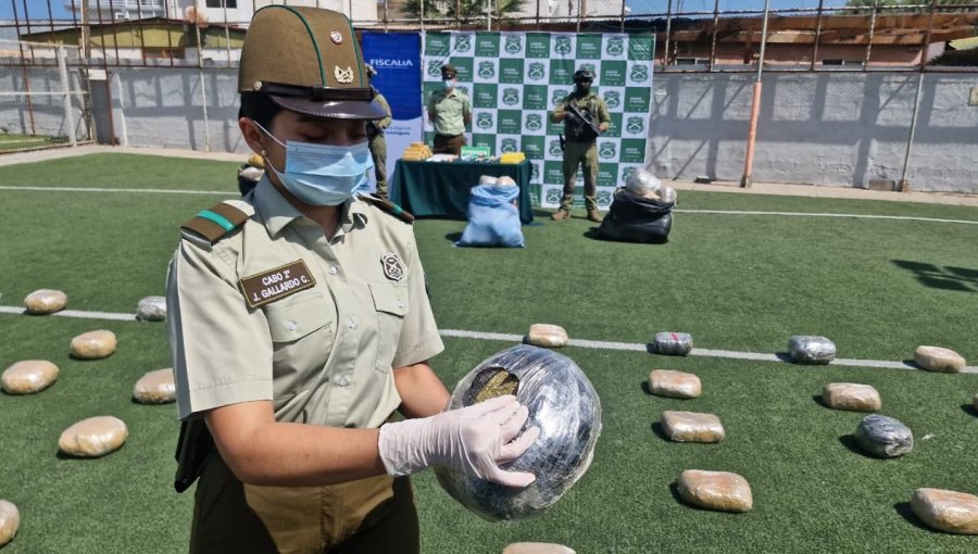 Desarticulan red criminal multinacional en el norte: operativo deja 13 detenidos y más de 300 kilos de droga incautados