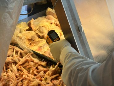 Fiscalizan carnicerías de Quilpué para reforzar seguridad de alimentos en Fiestas Patrias