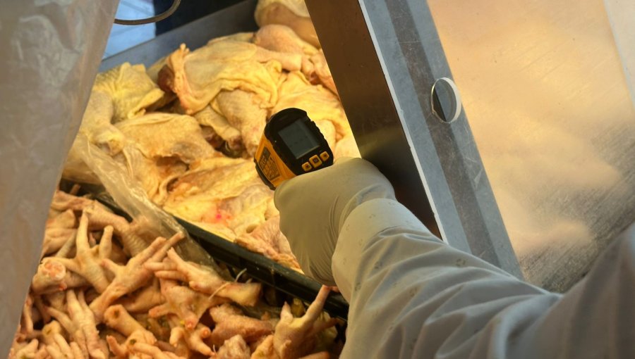 Fiscalizan carnicerías de Quilpué para reforzar seguridad de alimentos en Fiestas Patrias