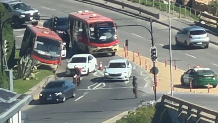 Tres lesionados dejó colisión entre microbús y dos automóviles en el acceso a Reñaca