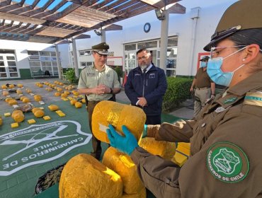 Incautan más de 250 kilos de drogas en la ruta 5 Norte a la altura de La Higuera: avalúo supera los $2.200 millones
