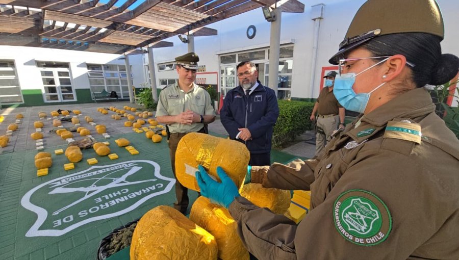 Incautan más de 250 kilos de drogas en la ruta 5 Norte a la altura de La Higuera: avalúo supera los $2.200 millones