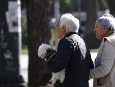 Aumento automático de la PGU llega a $250 mil y beneficia a más de 57 mil adultos mayores en la región de Valparaíso
