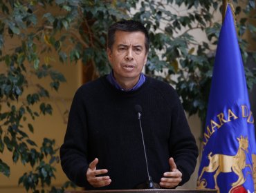 Diputado Celis oficia al Ministerio de Seguridad por rifles PCP y réplicas de armas que se ofrecen en plataformas digitales