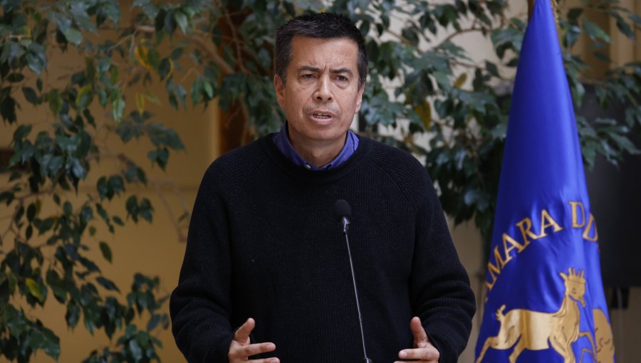 Diputado Celis oficia al Ministerio de Seguridad por rifles PCP y réplicas de armas que se ofrecen en plataformas digitales