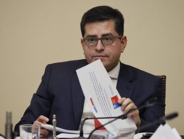 Vicepresidenta del PPD respalda a Araya por dichos de seguridad: “Tiene el respaldo del partido”