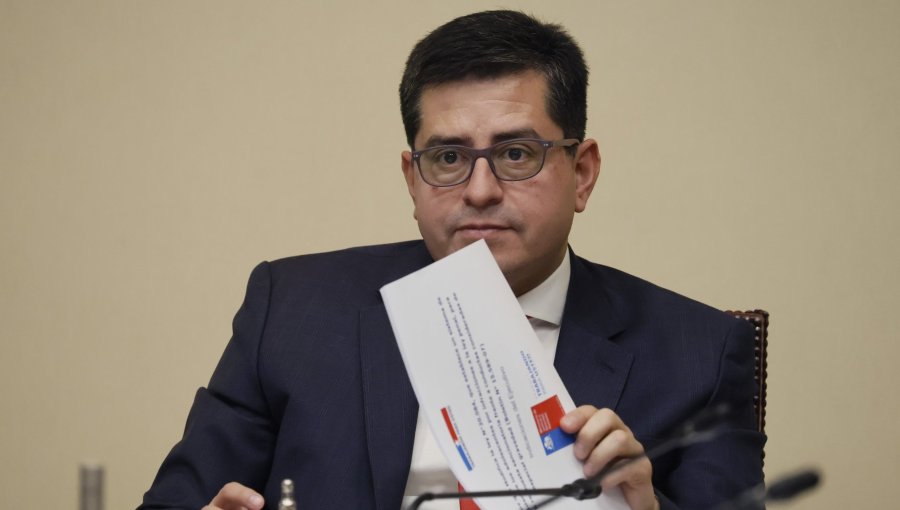 Vicepresidenta del PPD respalda a Araya por dichos de seguridad: “Tiene el respaldo del partido”