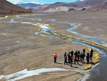 Tribunal Ambiental aprueba plan de US$19,7 millones para reparar humedales dañados en Atacama