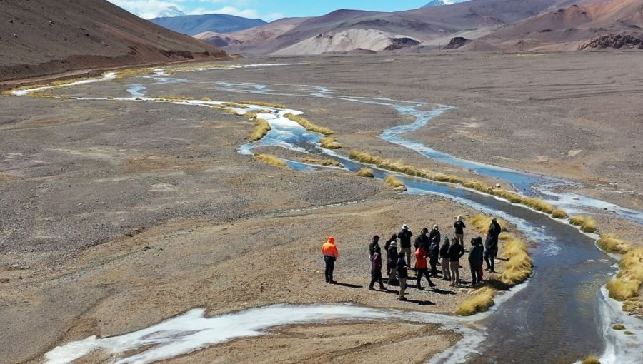 Tribunal Ambiental aprueba plan de US$19,7 millones para reparar humedales dañados en Atacama