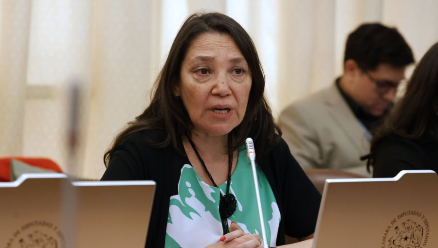 Exministra Lobos cuestiona trámite de la megarreforma y afirma que al Gobierno "le hace falta tener una actitud mucho más dialogante"