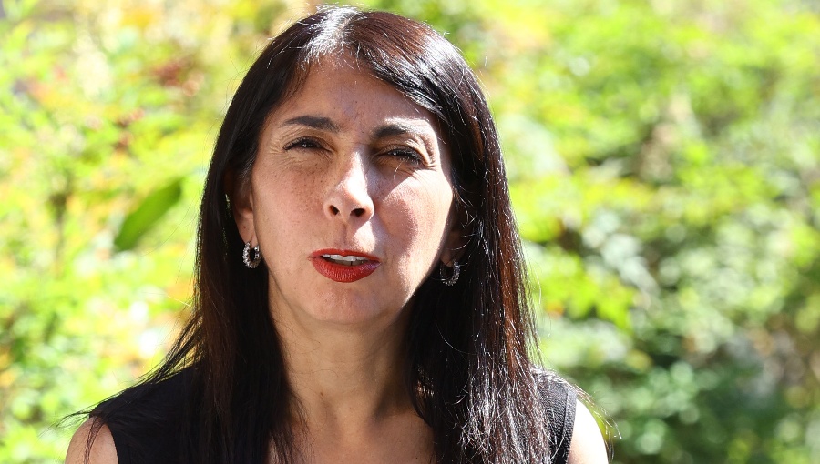 Rubilar valora idea de Briones y propone integrar pensiones, salud y prevención
