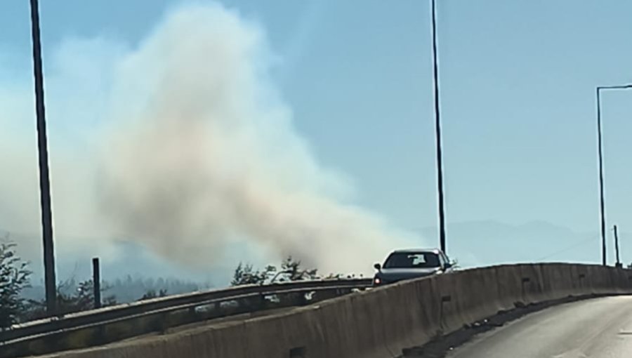 Incendio forestal afecta a sector de Tabolango en Limache