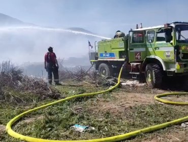 Incendio en basural ilegal moviliza a diversos Cuerpos de Bomberos de la región de Valparaíso al sector del Parque La Victoria de Limache