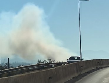 Incendio forestal afecta a sector de Tabolango en Limache