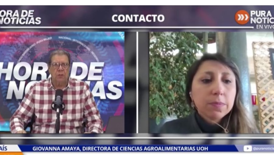 Directora de Ciencias Agroalimentarias OUH por mala calidad de aire en Chile: “Es bastante grave sobre todo para la salud, en enfermedades respiratorias y cardiovasculares”