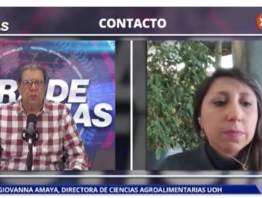 Directora de Ciencias Agroalimentarias OUH por mala calidad de aire en Chile: “Es bastante grave sobre todo para la salud, en enfermedades respiratorias y cardiovasculares”