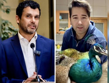 Pavos reales desatan la "guerra" entre Jaime Bassa y Javier Olivares: solicitan intervención del SAG por polémico corte de alas