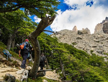 Conaf levanta exigencia de contar con guías en senderos del Parque Torres del Paine