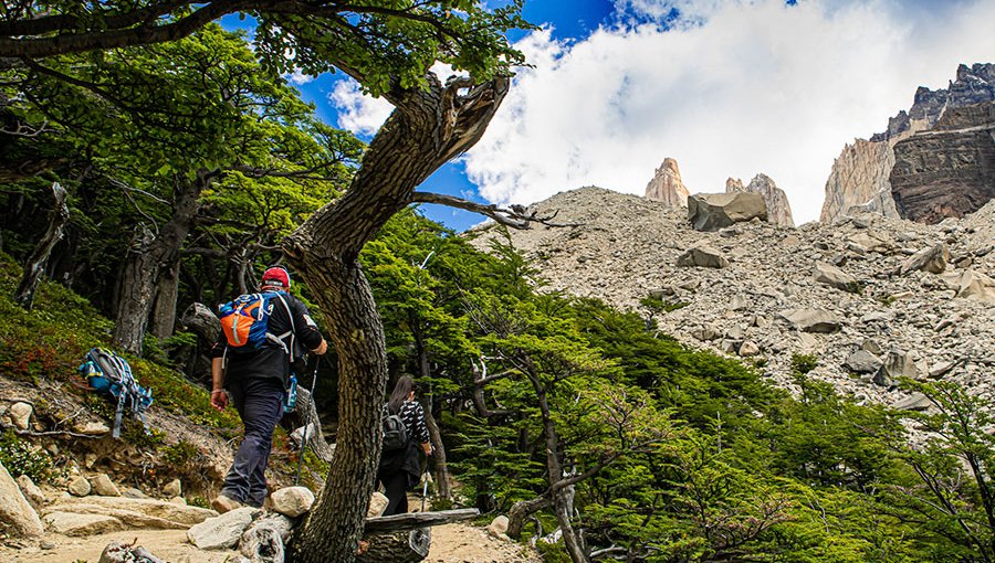 Conaf levanta exigencia de contar con guías en senderos del Parque Torres del Paine