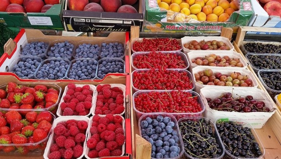 Chile y China implementan nuevo memorándum para agilizar las exportaciones de fruta fresca