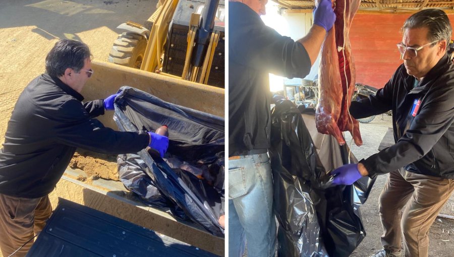 Seremi de Salud decomisa 60 kilos de carne en faena clandestina detectada en Placilla