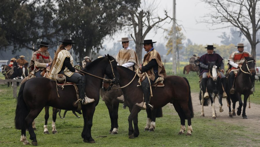 "Nos estamos preparando con varios rodeos": Alcalde Martínez detalla actividades de Fiestas Patrias en Casablanca