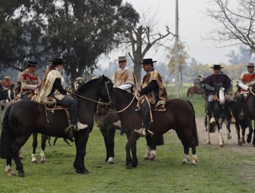 "Nos estamos preparando con varios rodeos": Alcalde Martínez detalla actividades de Fiestas Patrias en Casablanca